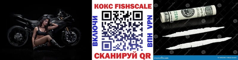 где купить   Кукмор  КОКАИН Fish Scale 