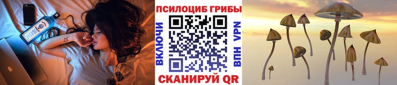 Галлюциногенные грибы Psilocybine cubensis  купить наркотик  МЕГА зеркало  Кукмор 